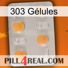 303 Gélules 24